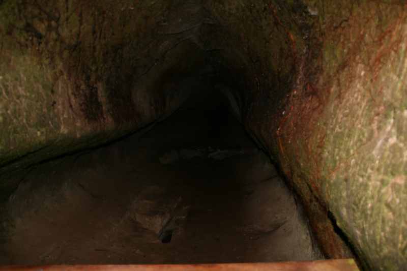 Nieuw-Zeeland 2011 - 0575